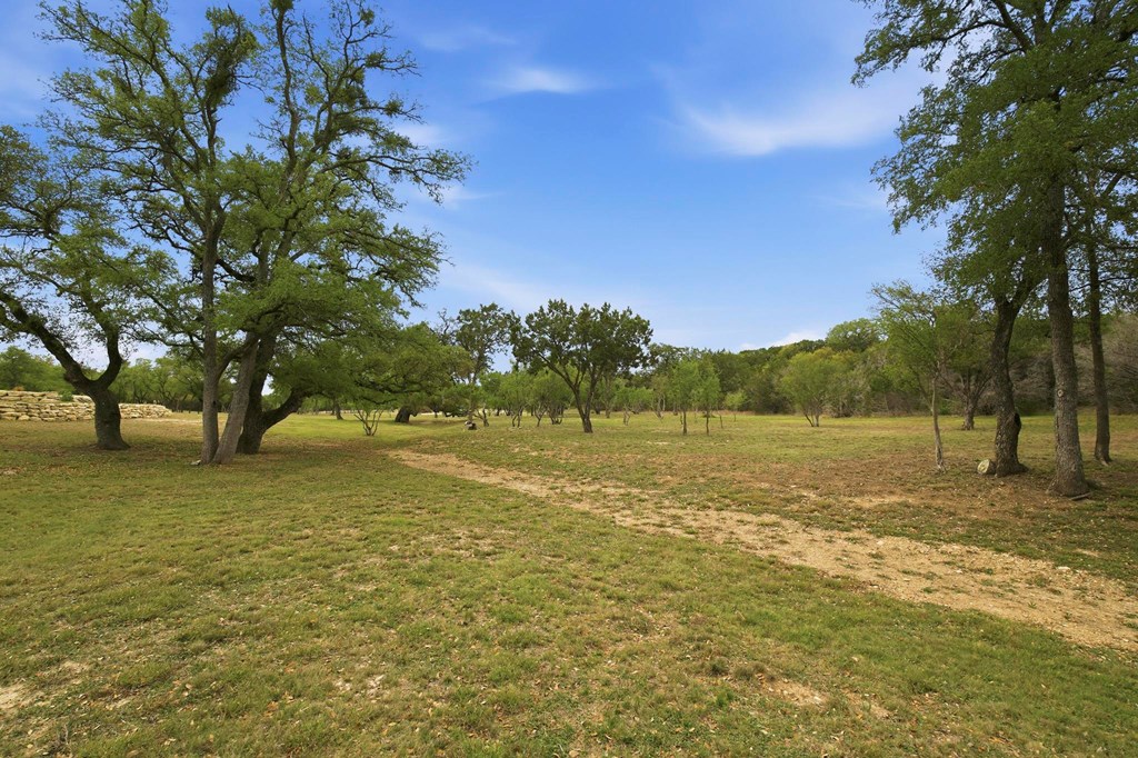 134 North Stallion Ests Drive Spring Branch, TX 78070 - Photo 52 of 67