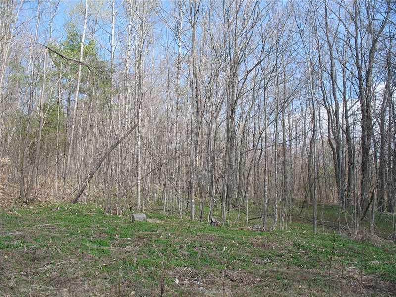 41 Pleasant Street Monson, ME 04464 - Photo 3 of 7 Land/Lot. Back of lot