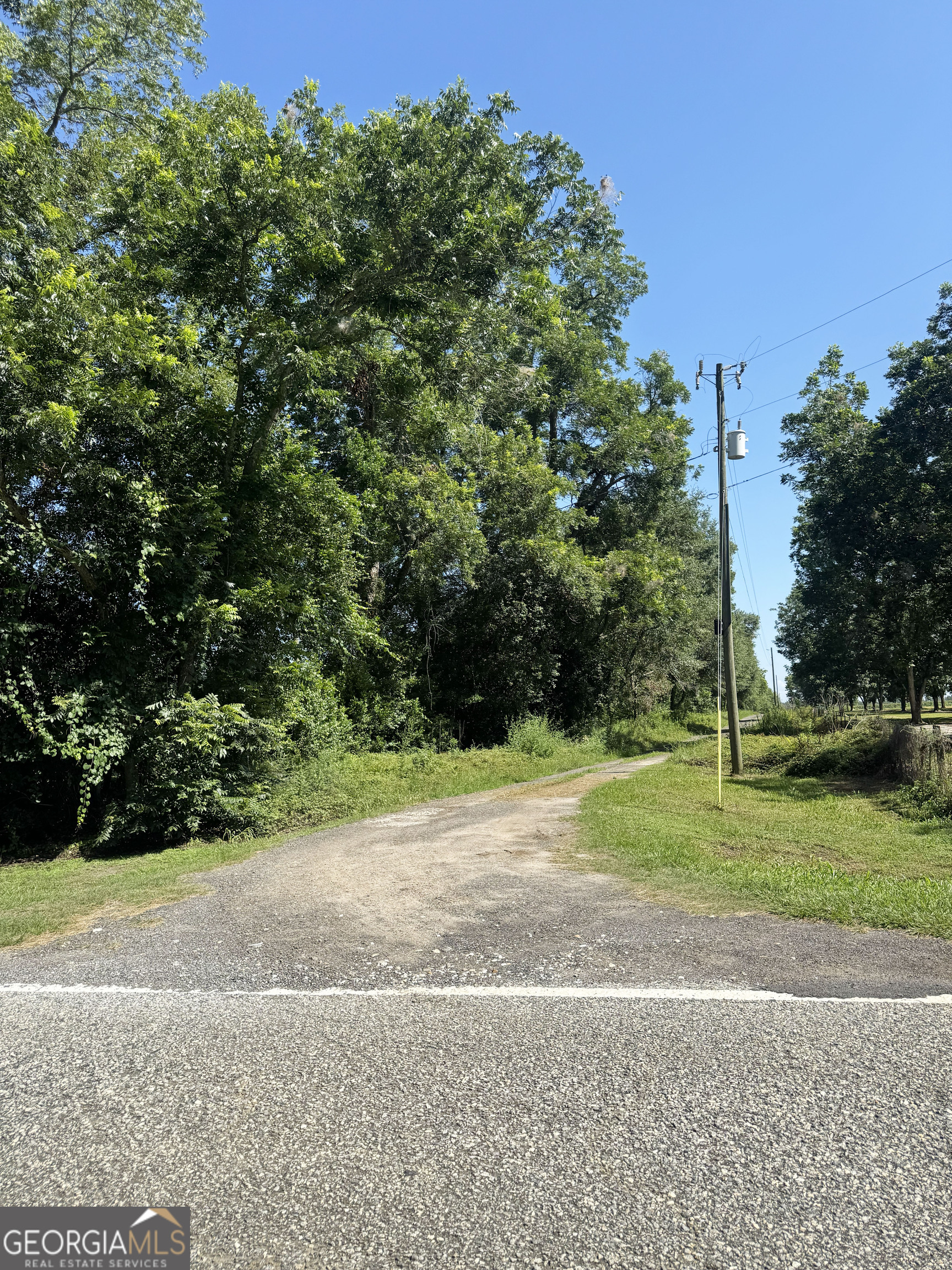 0 Tired Creek Road Whigham, GA 39897 - Photo 8 of 9