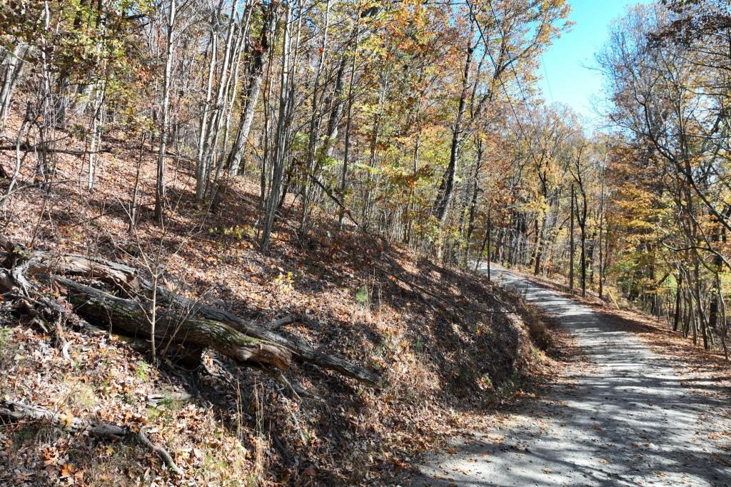 Lot 34 Wauka Ridge Road Cleveland, GA 30528 - Photo 4 of 14