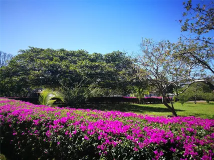 $16,000,000 | 123 Llanos Del Coyol 20113