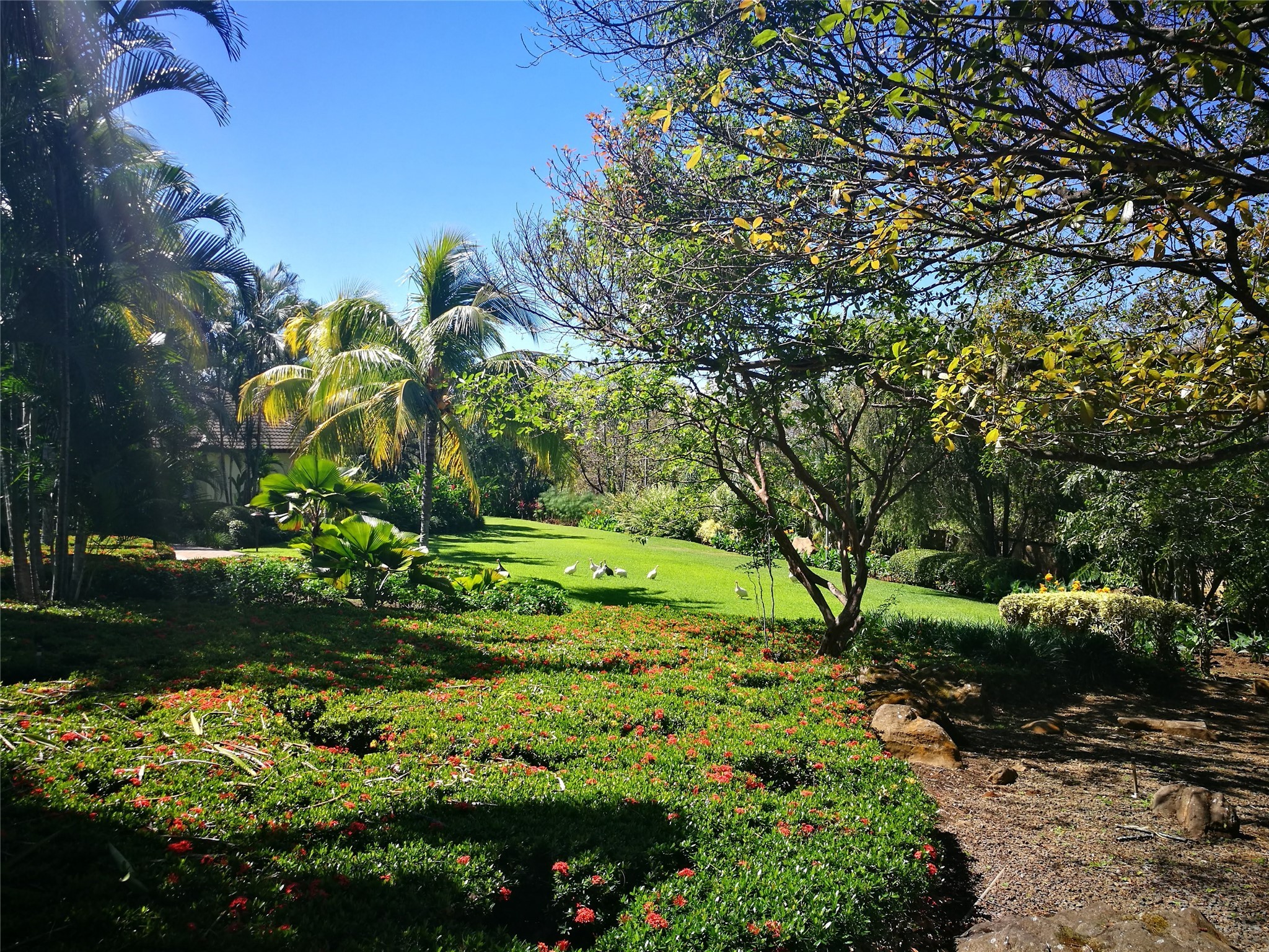 123 Llanos Del Coyol 20113 undefined, undefined 20113 - Photo 40 of 50 a view of a garden