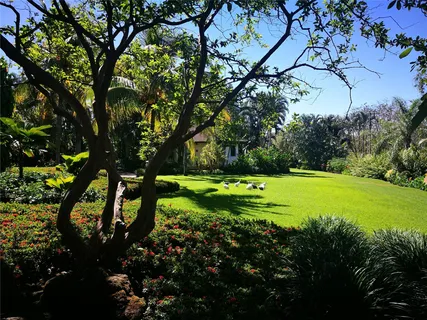 $16,000,000 | 123 Llanos Del Coyol 20113