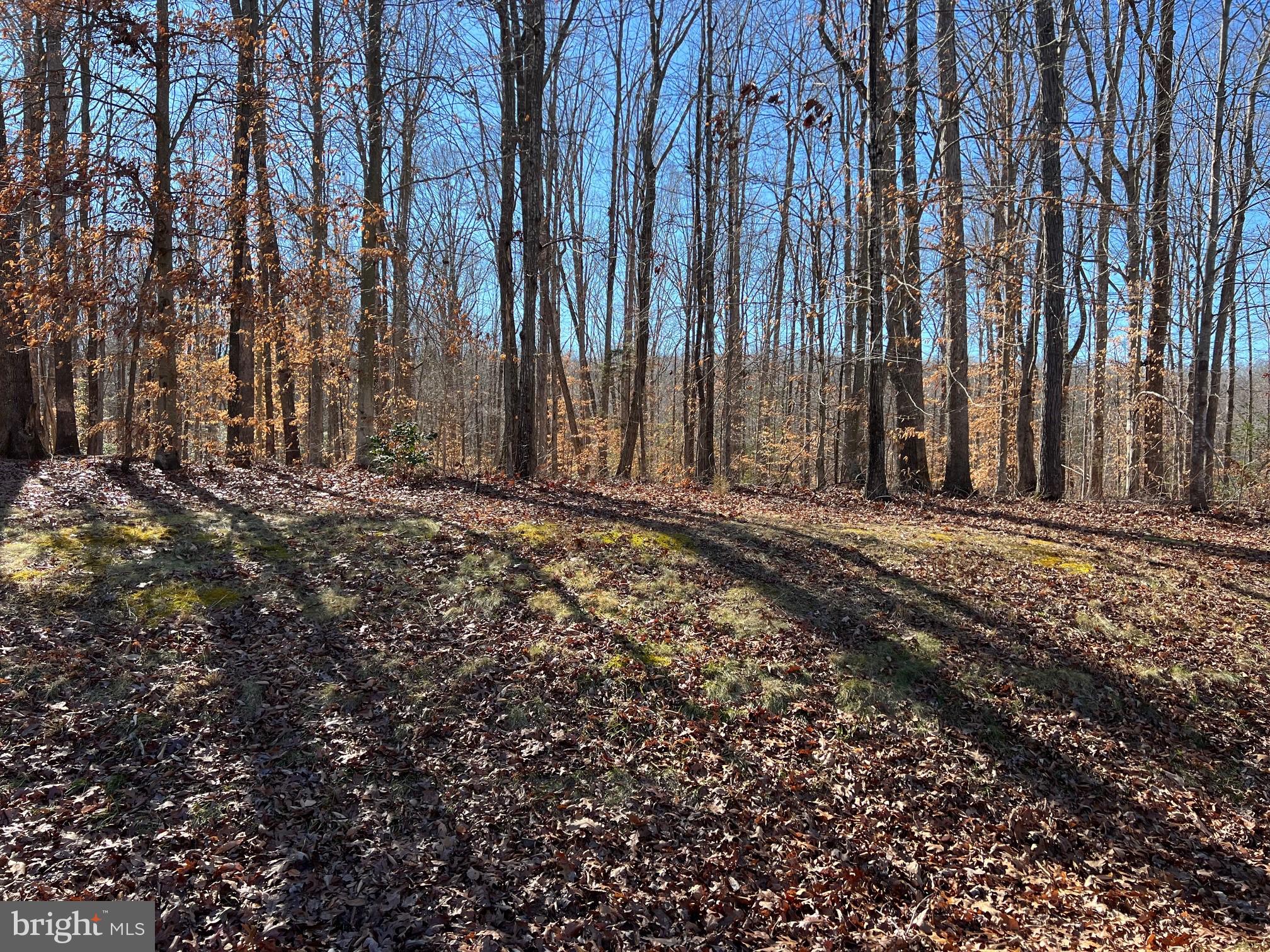 126 Raven Road Bumpass, VA 23024 - Photo 7 of 18