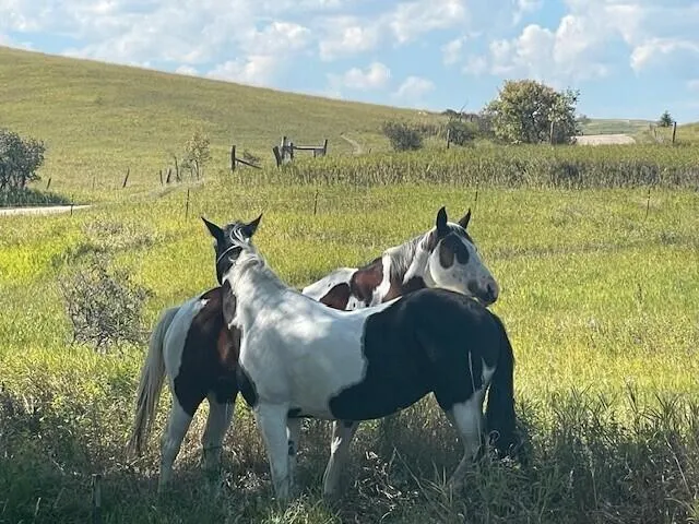 $524,900 | 40 Upper Prairie Dog Road, Banner, WY 82832