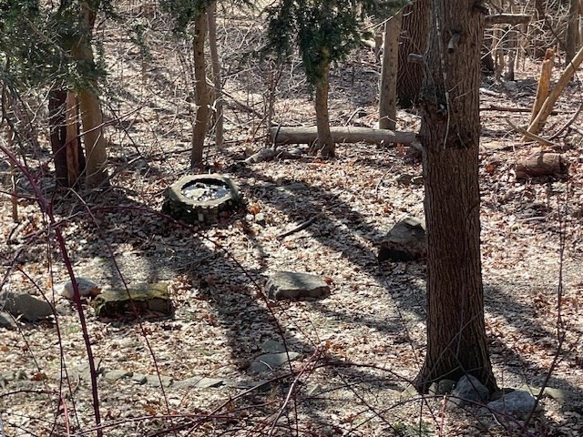 15 Wrentham Road Worcester, MA 01602 - Photo 5 of 16 a view of a trees with a tree