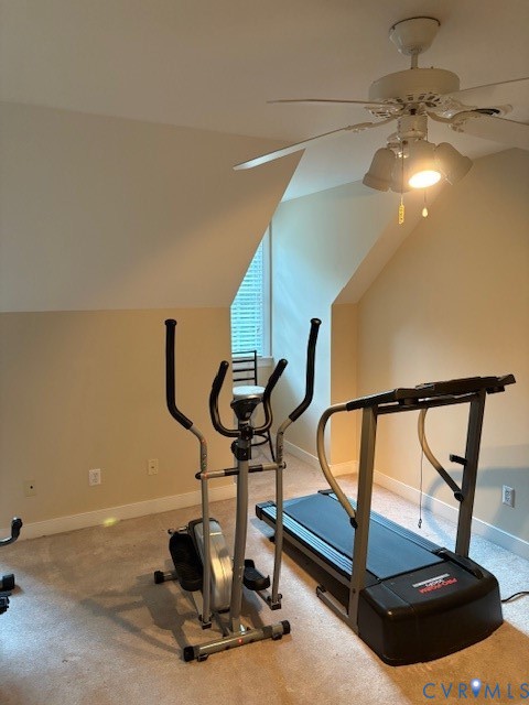 13902 Summersedge Terrace Chesterfield, VA 23832 - Photo 26 of 30 a view of a room with gym equipment