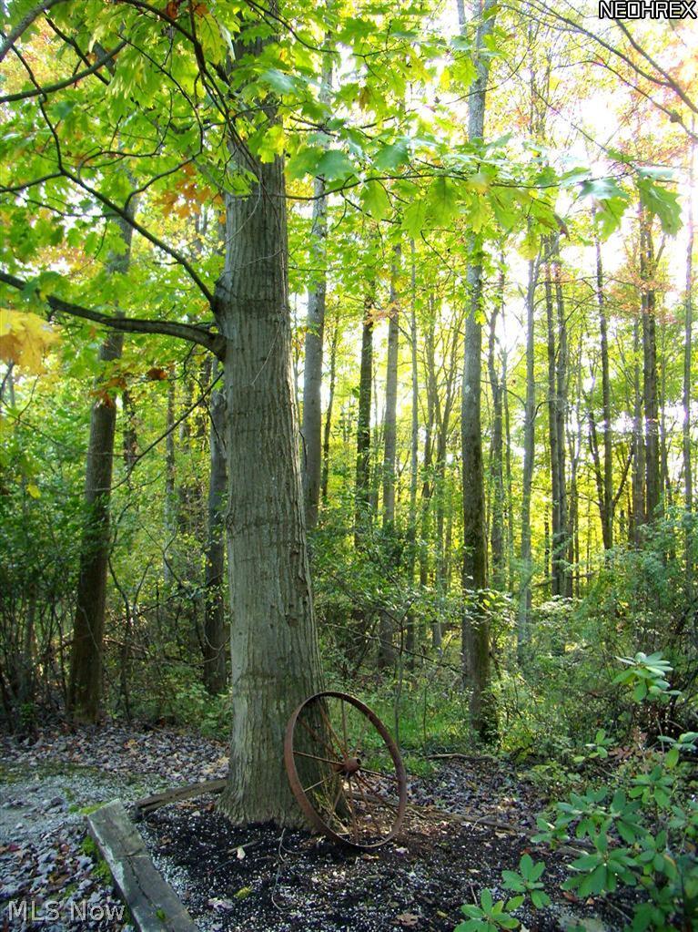 1630 County Line Road Gates Mills, OH 44040 - Photo 22 of 24 Tree by drive leading to outbuilding which can be used for additional cars and motorcyles or to house outdoor equipment. It also features additional loft storage.