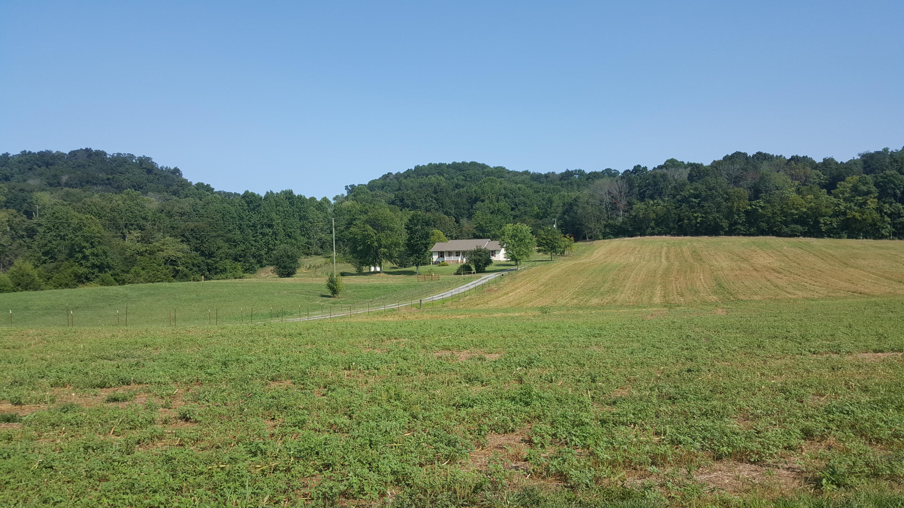 496 Harrison Road Madisonville, TN 37354 - Photo 40 of 40 20200909_105416