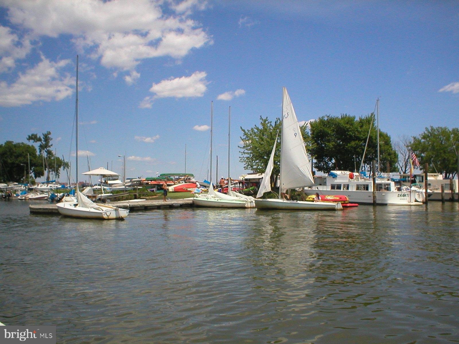 8501 Wagon Wheel Road Alexandria, VA 22309 - Photo 33 of 37 Belle Haven Marina for boat rentals