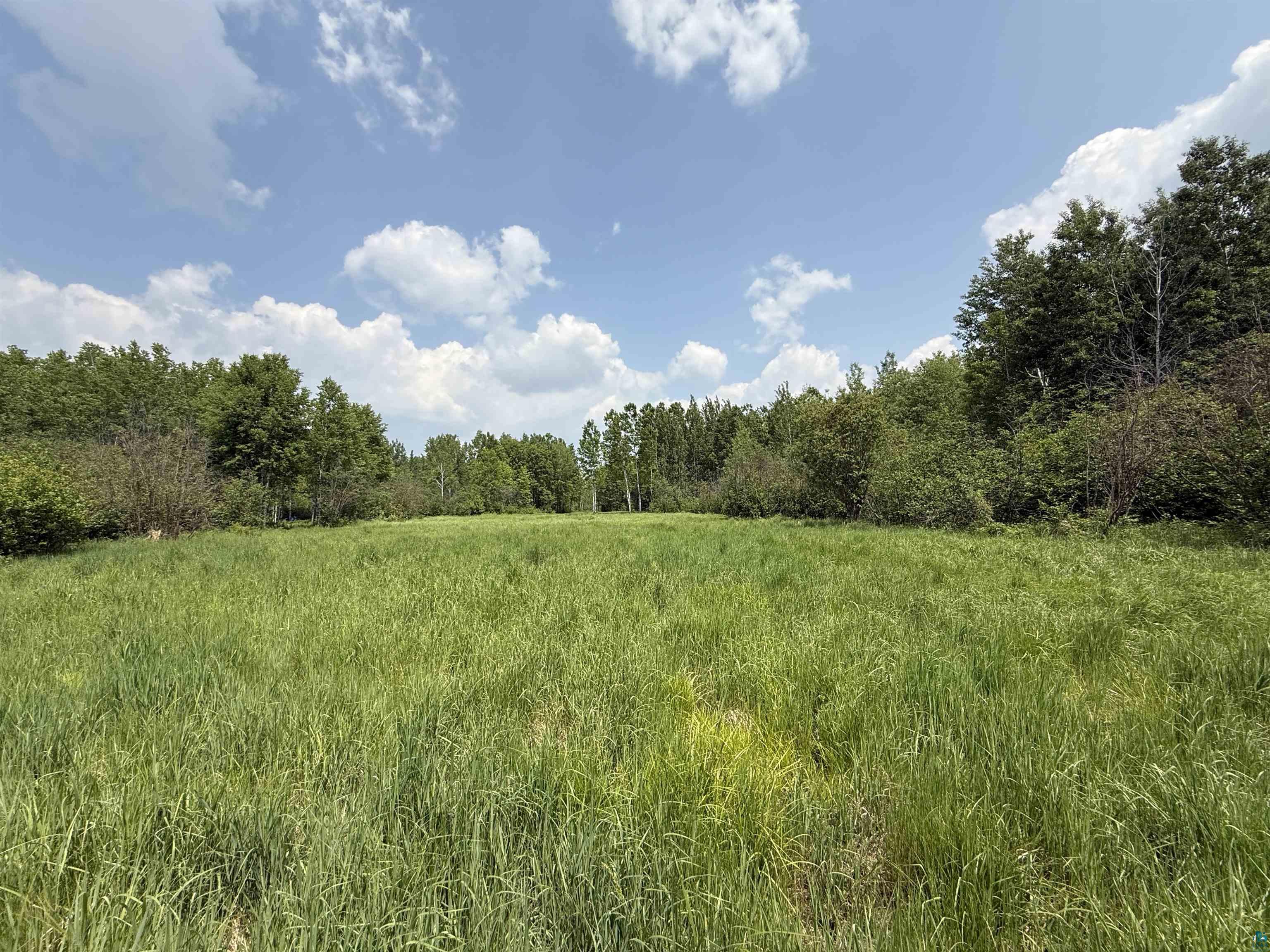 Tbd Samuelson Road Angora, MN 55703 - Photo 22 of 43 View of woods