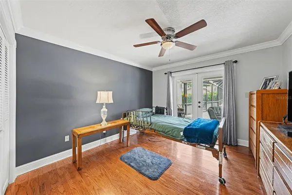 a living room with furniture a rug potted plant and a window