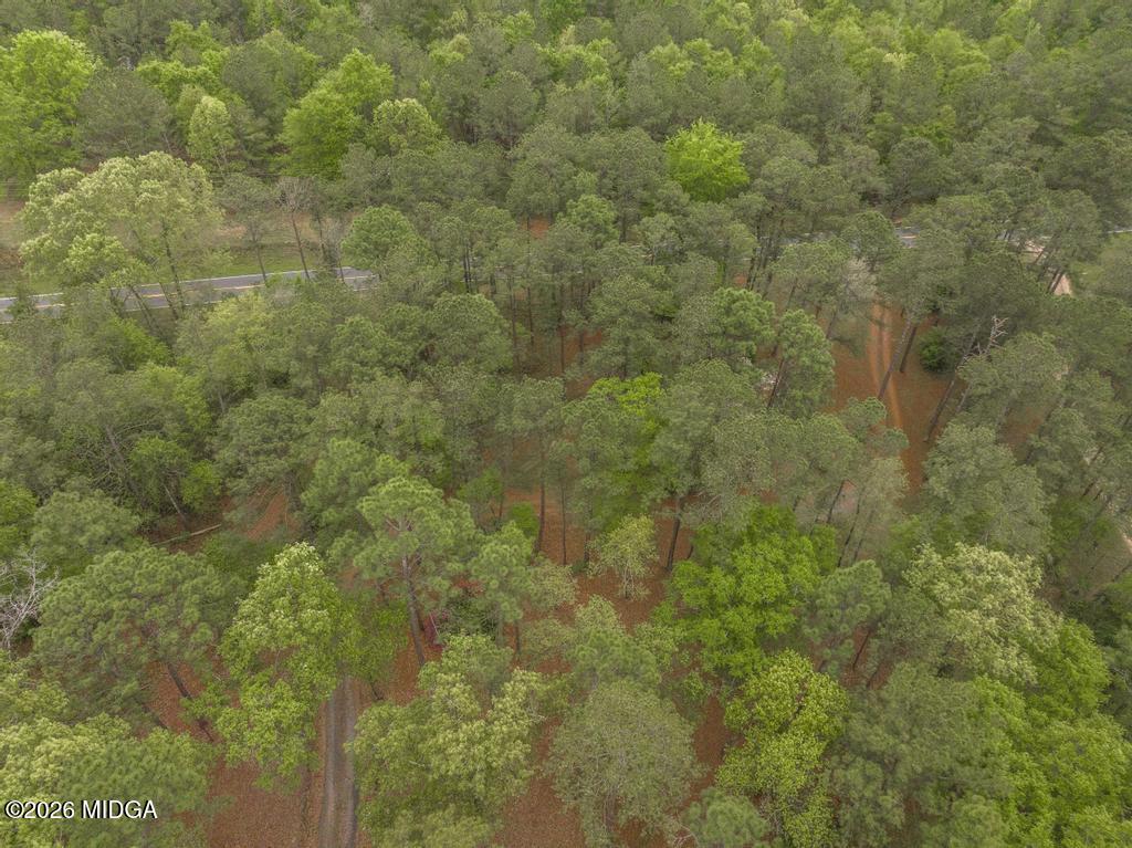 3989 Union Church Road Fort Valley, GA 31030 - Photo 39 of 48 3989 Union Church Rd 6