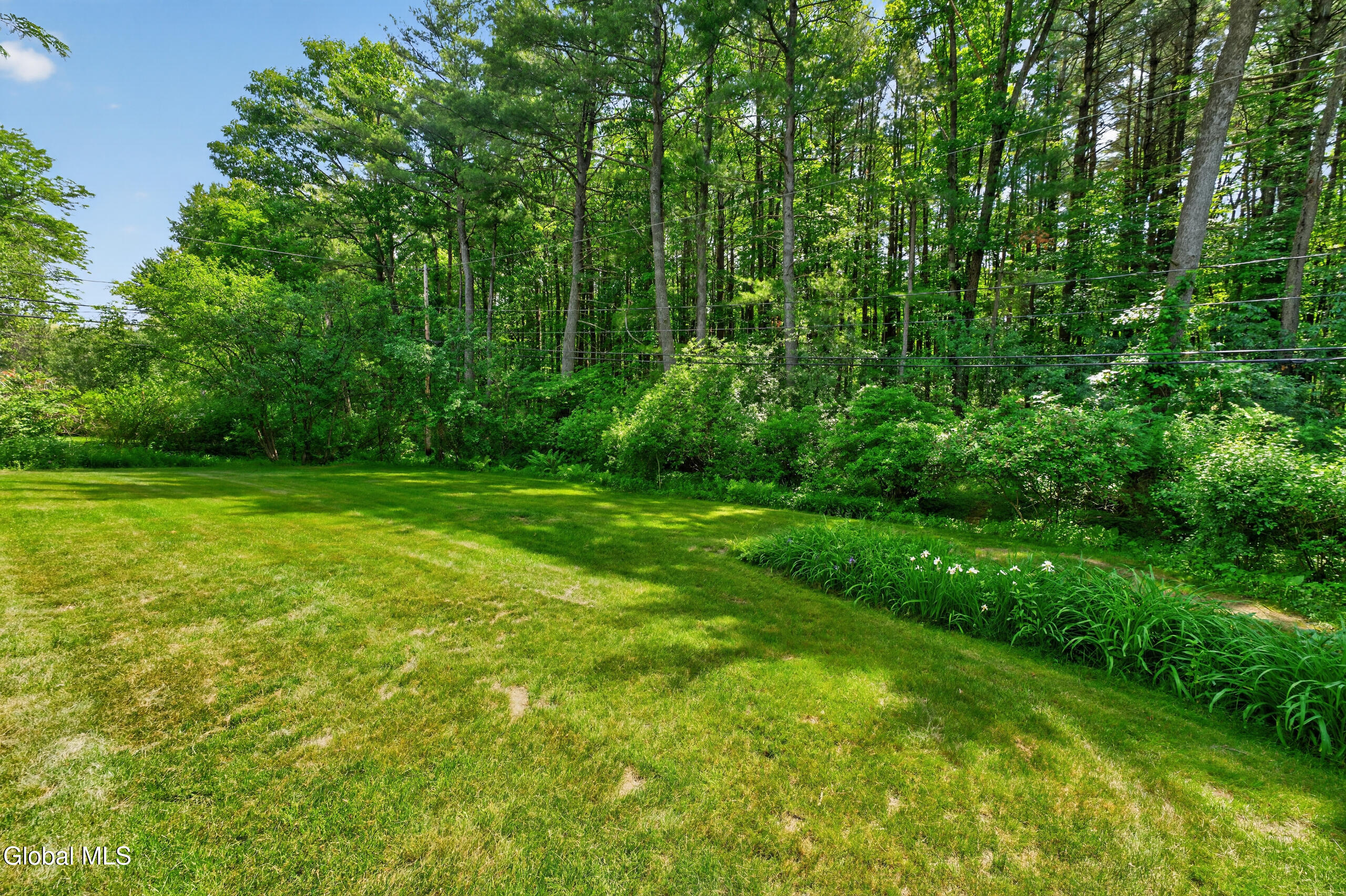 1222 Hempstead Road Niskayuna, NY 12309 - Photo 47 of 52 Yard 2