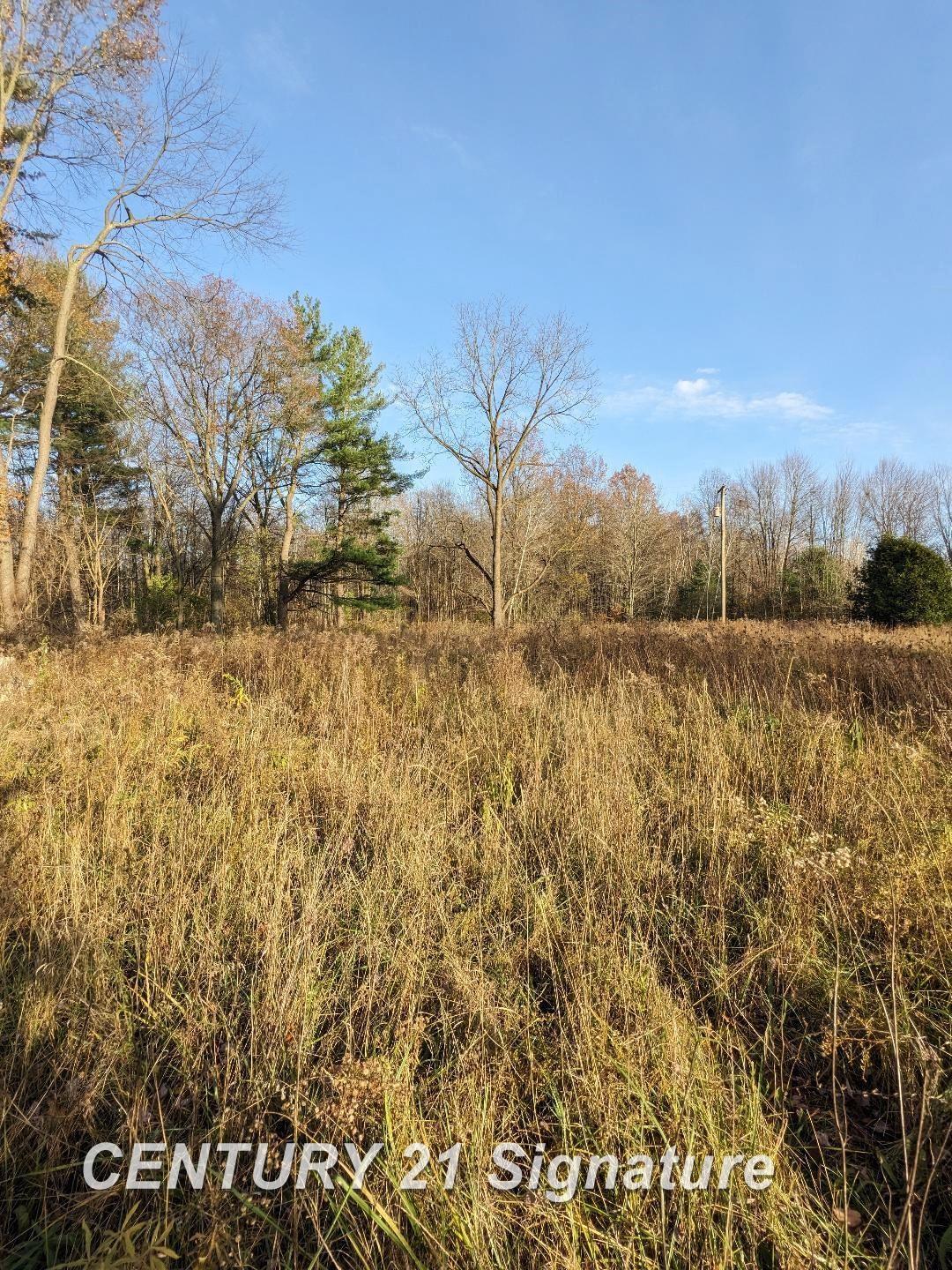 9845 Elms Road Birch Run, MI 48415 - Photo 7 of 8