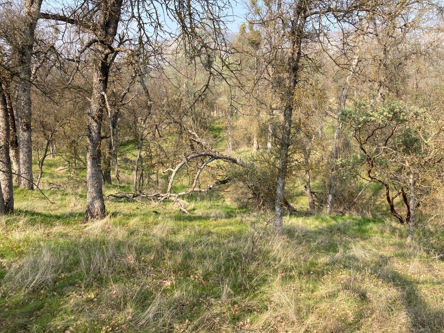 27784 Canal Road Prather, CA 93651 - Photo 12 of 24 Gallery Image 12