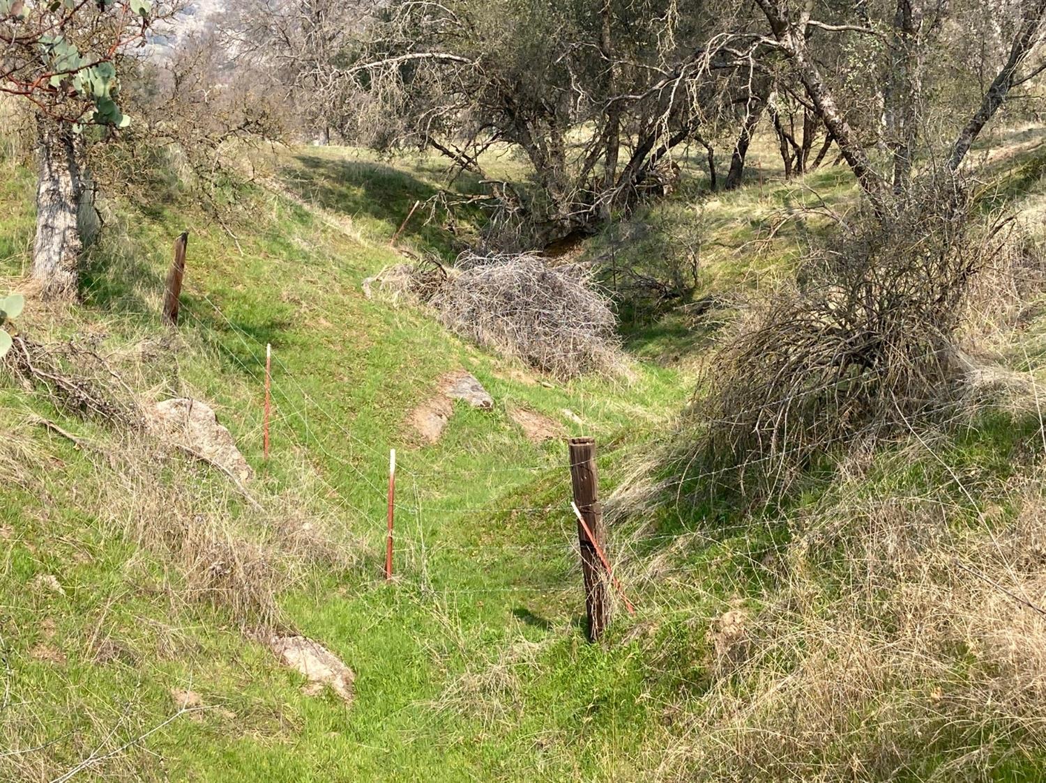 27784 Canal Road Prather, CA 93651 - Photo 14 of 24 Gallery Image 14