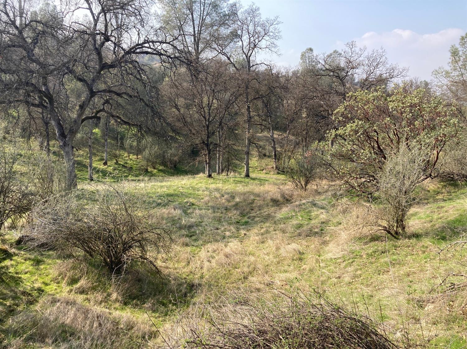 27784 Canal Road Prather, CA 93651 - Photo 19 of 24 Gallery Image 19