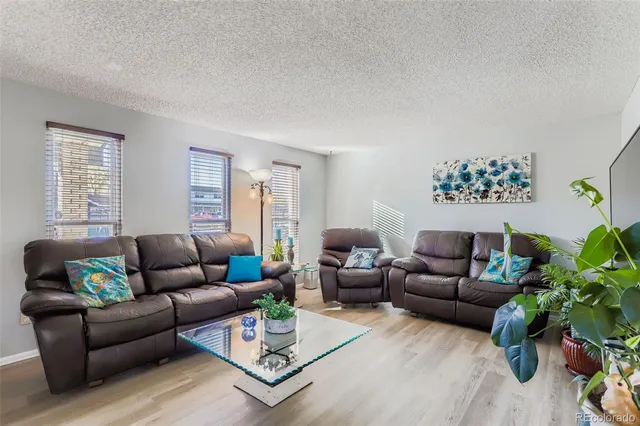 a living room with furniture rug and window