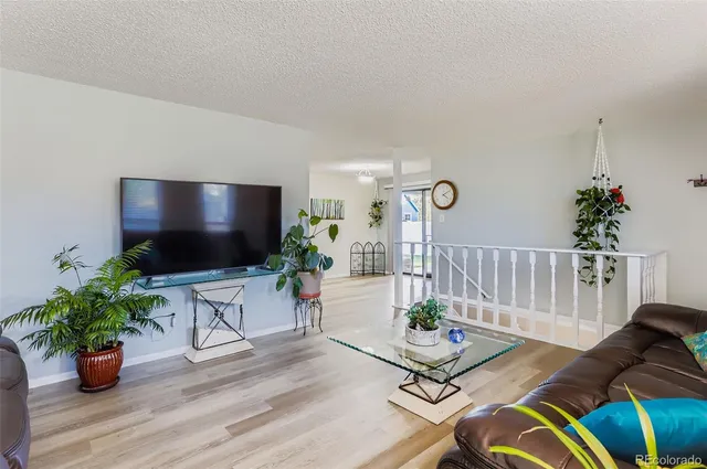 a living room with furniture potted plant and a flat screen tv
