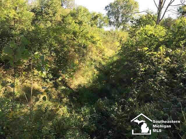 2742 Heiss Road Monroe, MI 48162 - Photo 8 of 18 Creek