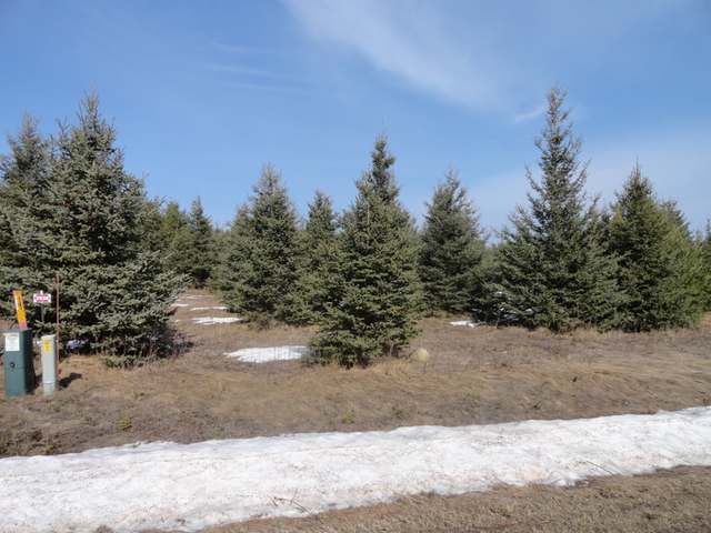 Lot 30 Pheasant View Drive Rhinelander, WI 54501 - Photo 20 of 20 Gallery Image 20