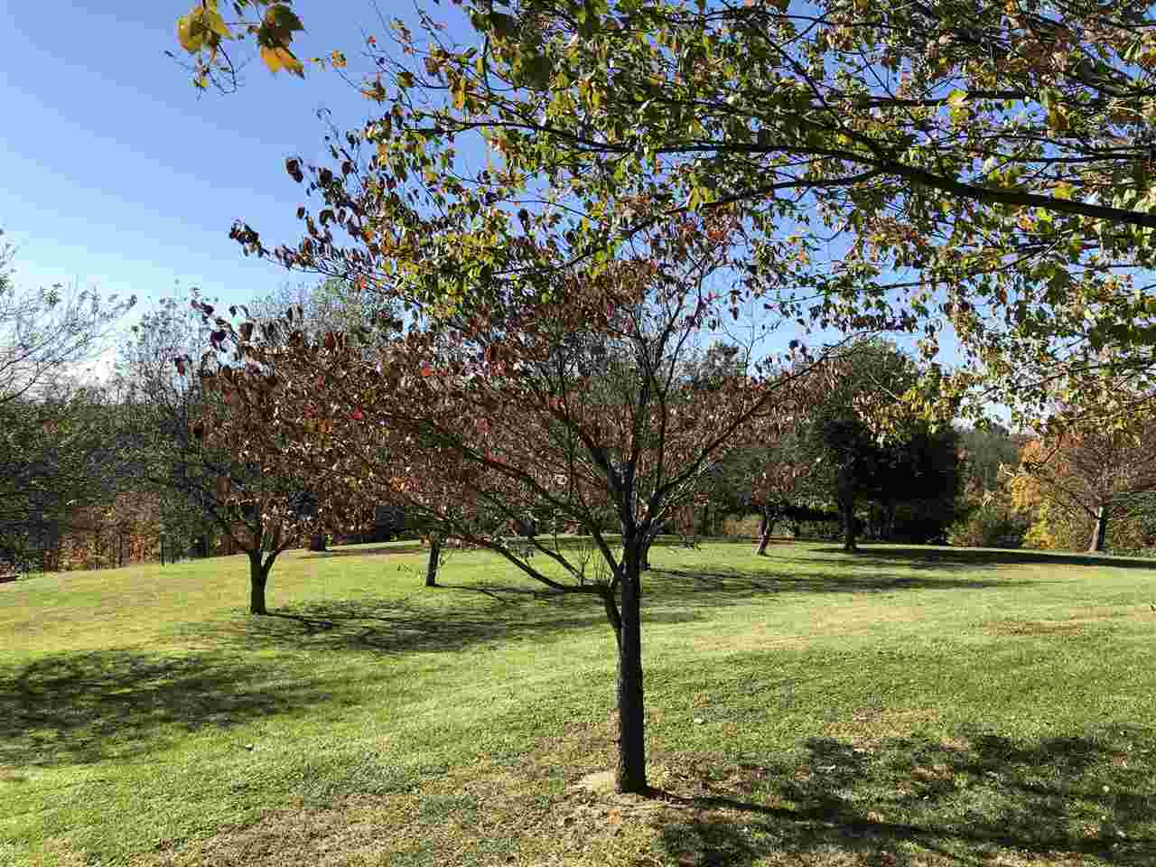 3505 Greenville Road Dry Ridge, KY 41035 - Photo 6 of 16
