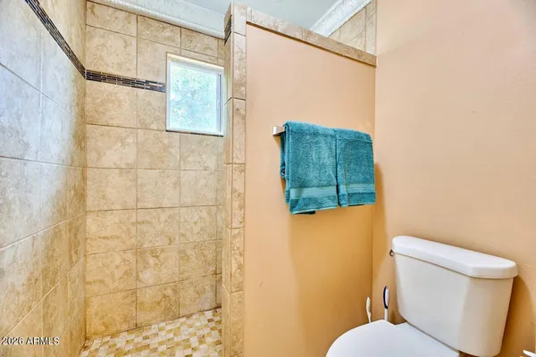 a bathroom with a toilet and a shower