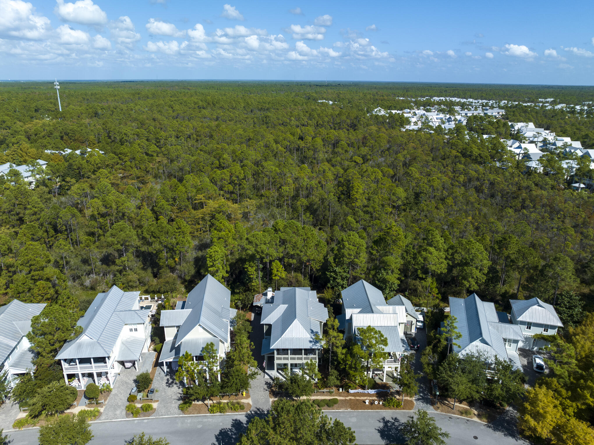 87 Sunflower Street Santa Rosa Beach, FL 32459 - Photo 52 of 61 DJI_0566