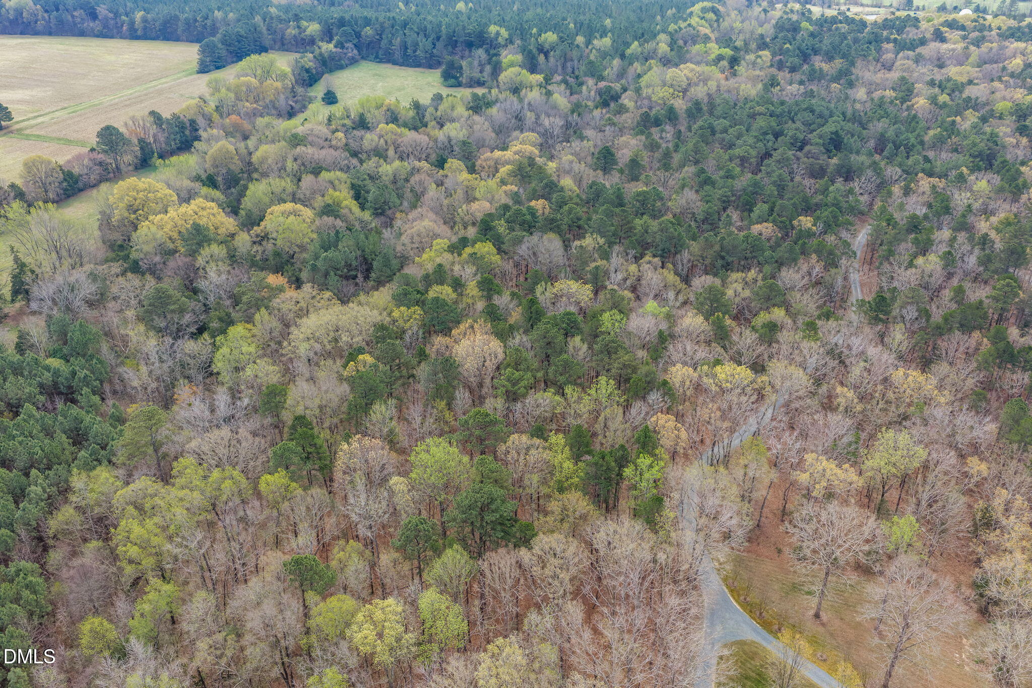 800 South Wind Road Siler City, NC 27344 - Photo 13 of 18 13-web-or-mls-untitled-8