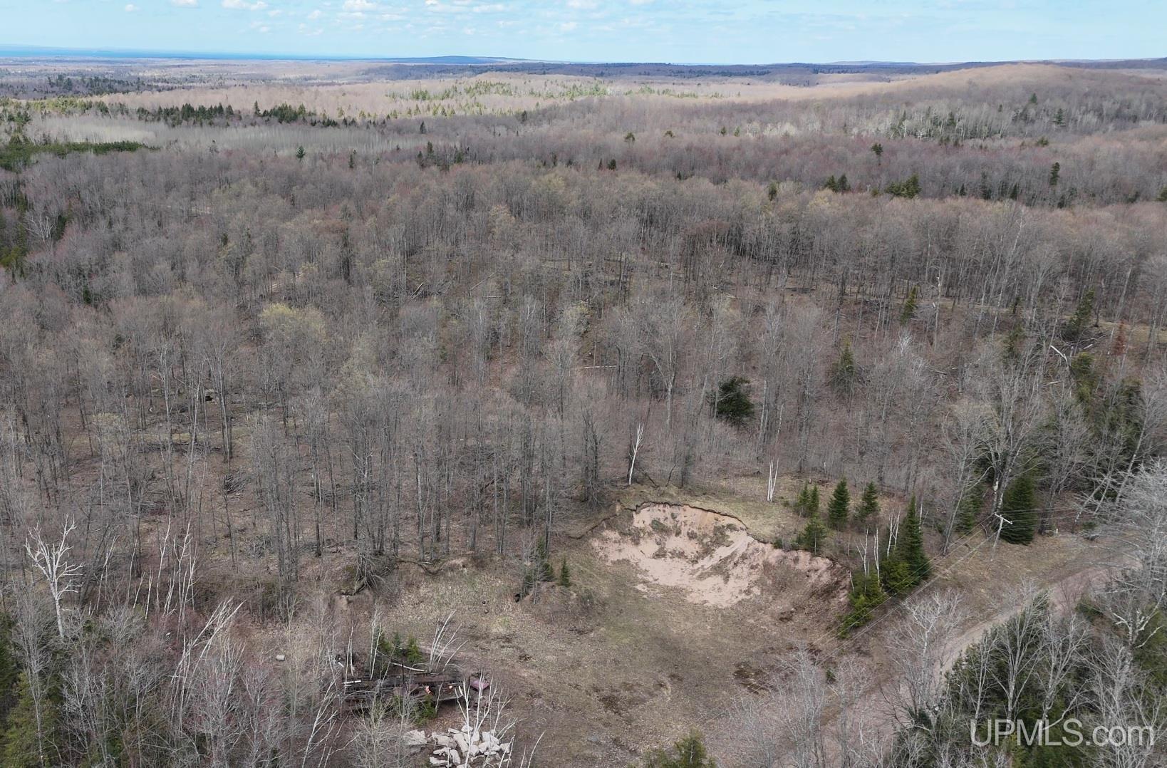 Tbdne Dog Patch Road Lanse, MI 49946 - Photo 6 of 23