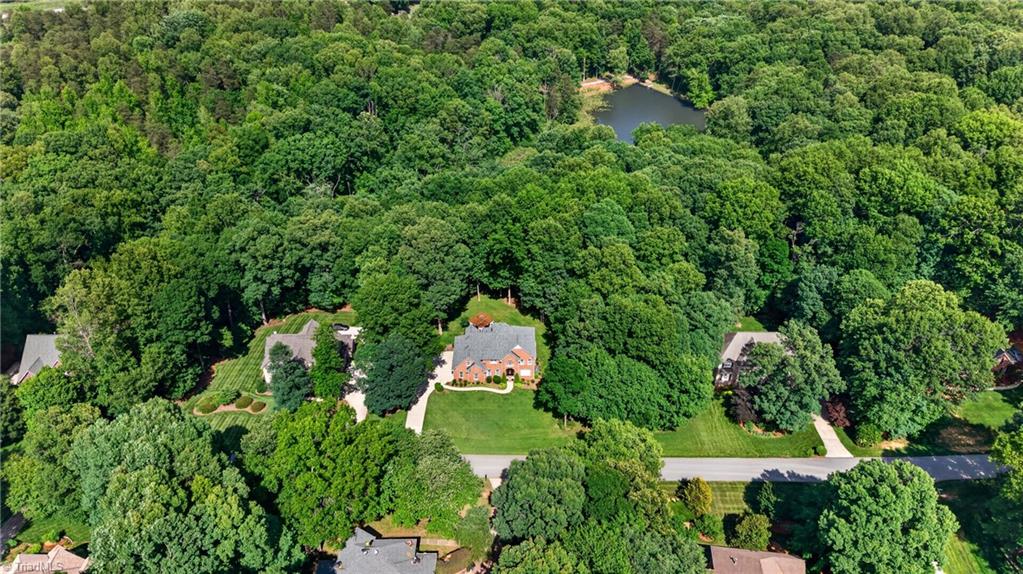 8508 Rosedale Drive Oak Ridge, NC 27310 - Photo 7 of 50 Acres of green, a quiet pond, total seclusion.