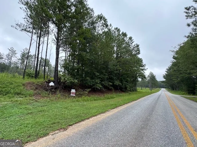 a view of a park with large trees
