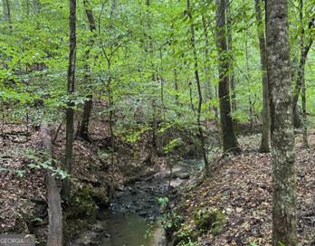 0 Dr Fisher Road Franklin, GA 30217 - Photo 2 of 4 a view of a forest with trees