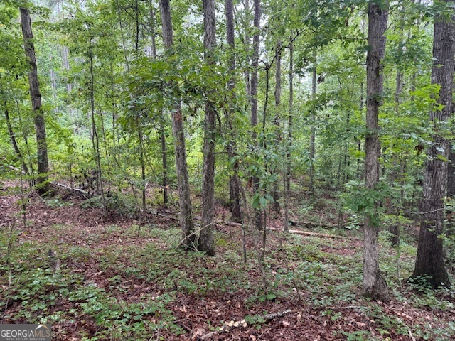 0 Dr Fisher Road Franklin, GA 30217 - Photo 3 of 4 a view of a forest that has large trees