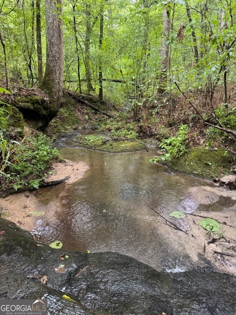 0 Dr Fisher Road Franklin, GA 30217 - Photo 4 of 4 a backyard of a house with lots of green space