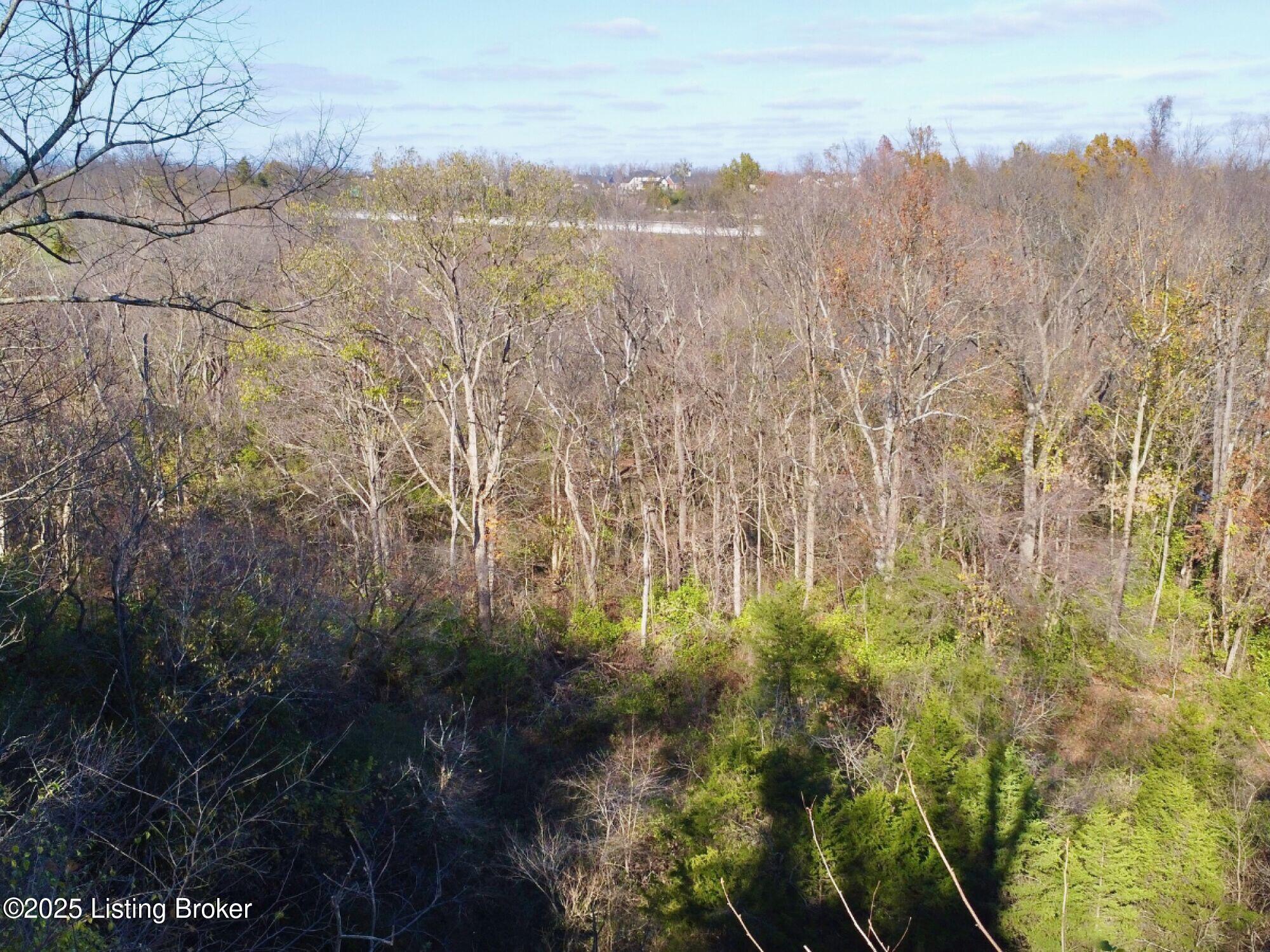 0 Upper River Road Jeffersonville, IN 47130 - Photo 47 of 50 47