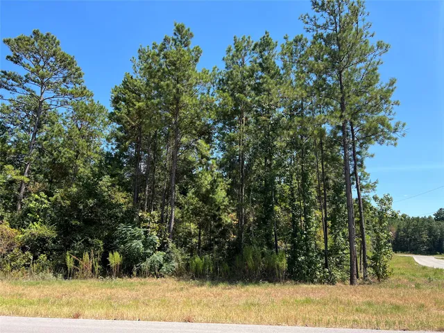 $129,900 | 70-21-13 Wagon Pass Drive, Huntsville, TX 77340