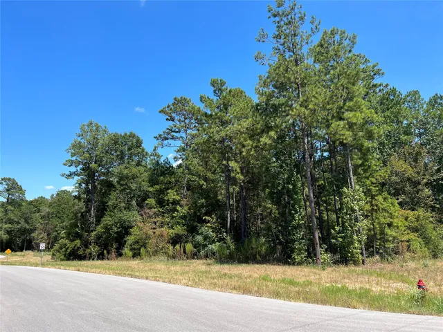 $129,900 | 70-21-13 Wagon Pass Drive, Huntsville, TX 77340