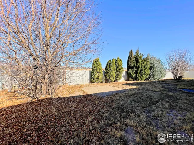 a view of a yard with large trees