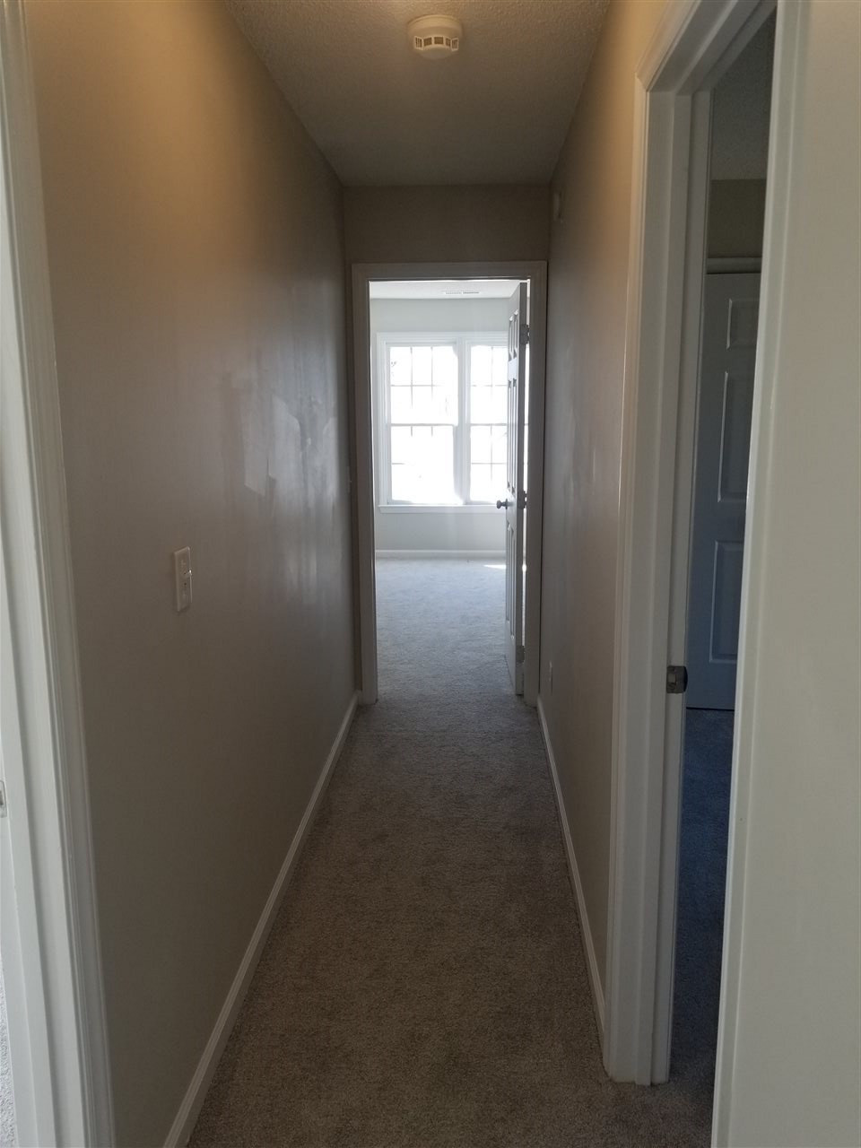 5513 Brookshadow Drive Raleigh, NC 27610 - Photo 18 of 24 Photo 18