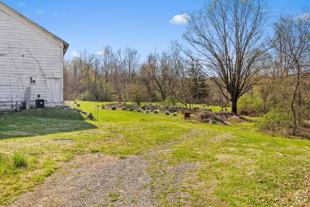 a view of a trees in a yard
