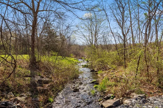 a view of a yard with large tree