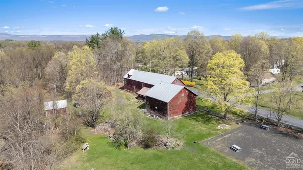 a view of a city with lush green forest