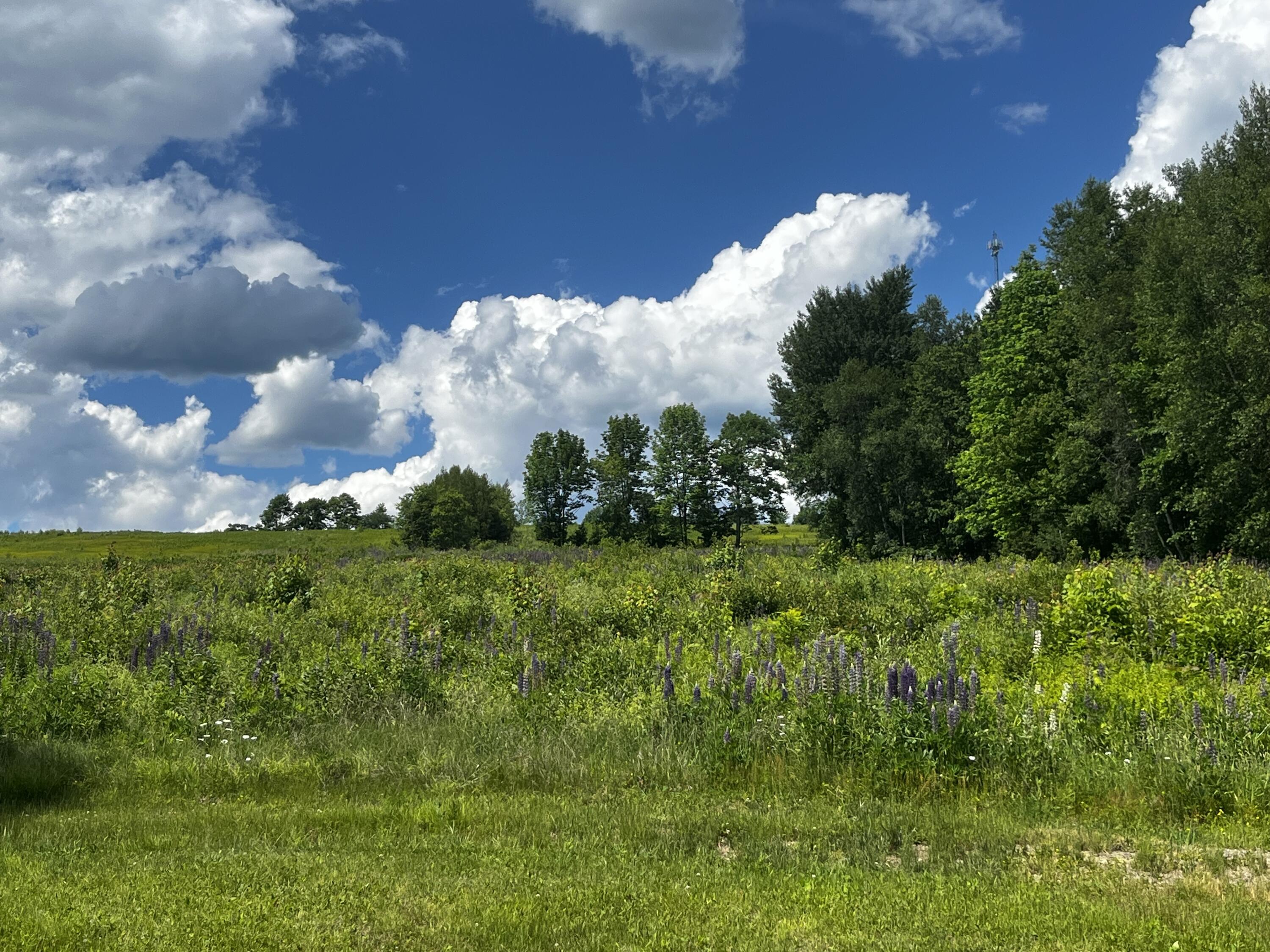 128 Old Airline Road Aurora, ME 04408 - Photo 13 of 74 Land