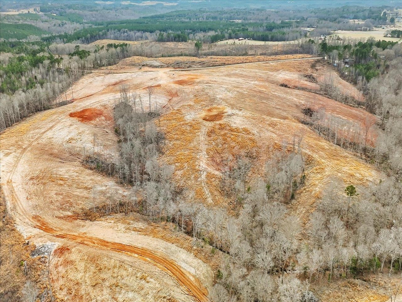 3 Thomas Kelly Road Sanford, NC 27330 - Photo 11 of 22 a view of a yard