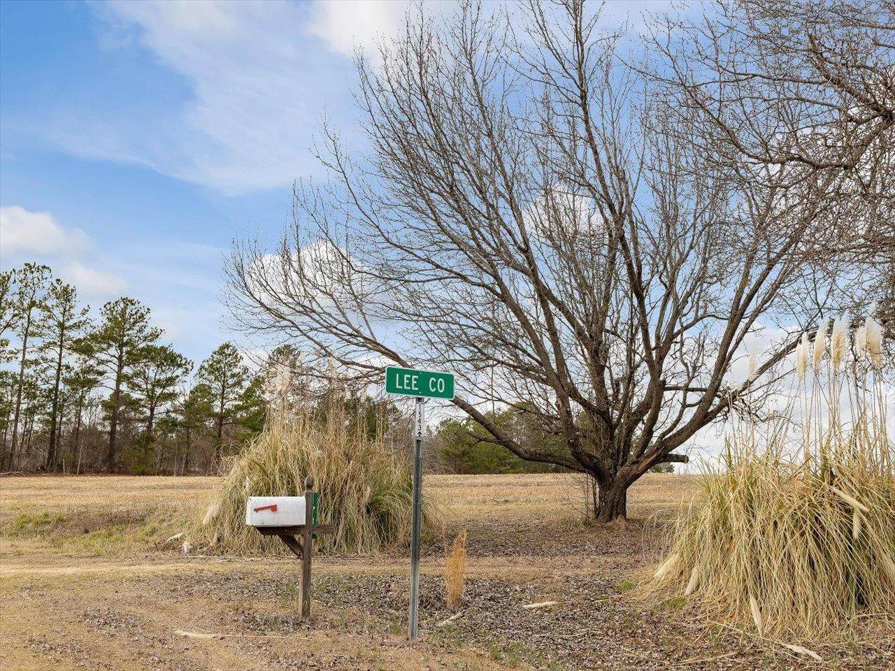 3 Thomas Kelly Road Sanford, NC 27330 - Photo 20 of 22 a view of a yard with wooden fence