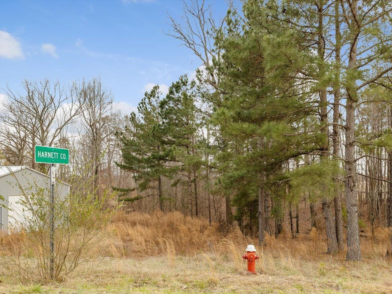3 Thomas Kelly Road Sanford, NC 27330 - Photo 22 of 22 a view of road with large trees