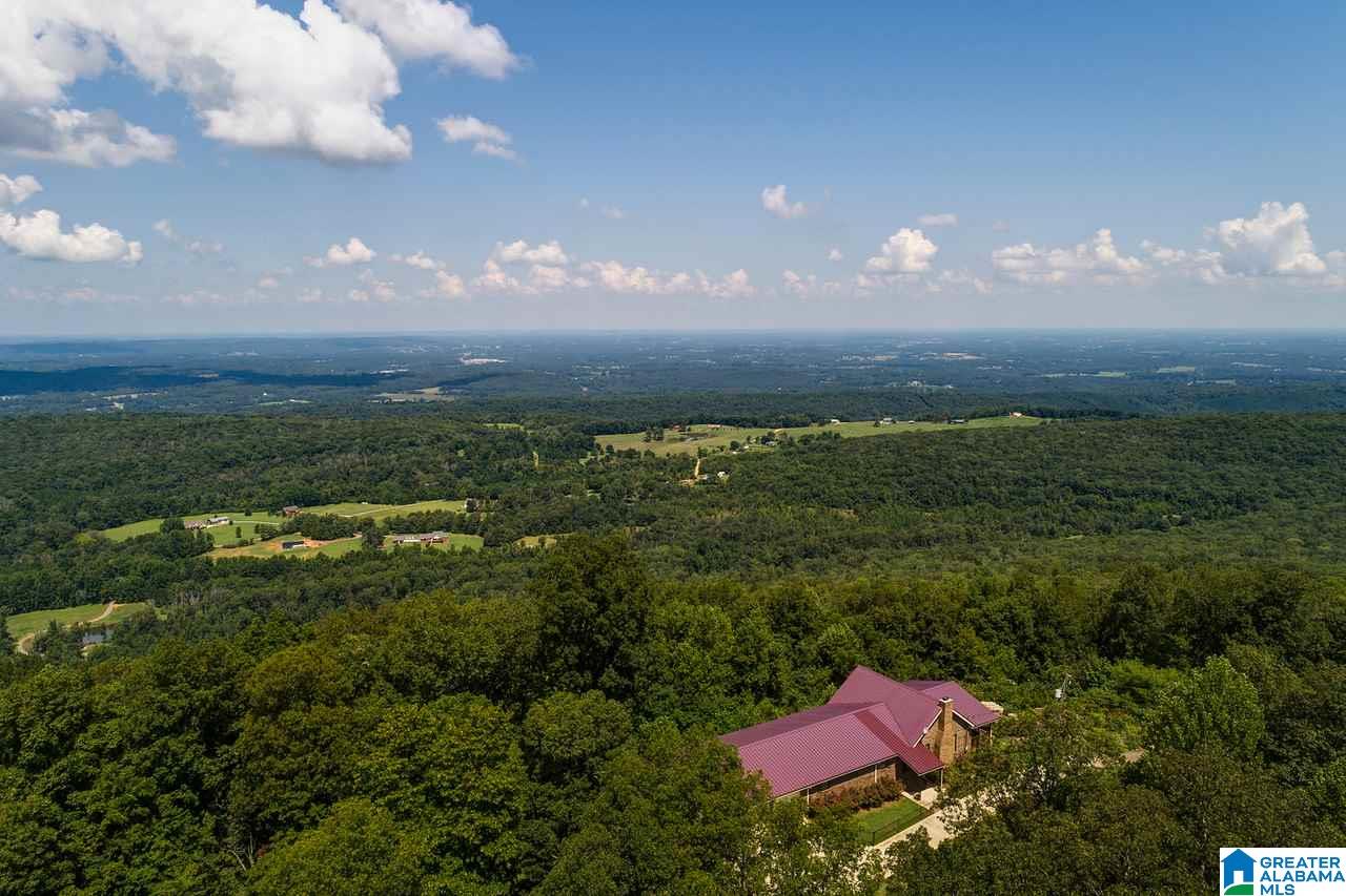1458 Warnock Peak Road Hayden, AL 35079 - Photo 3 of 50