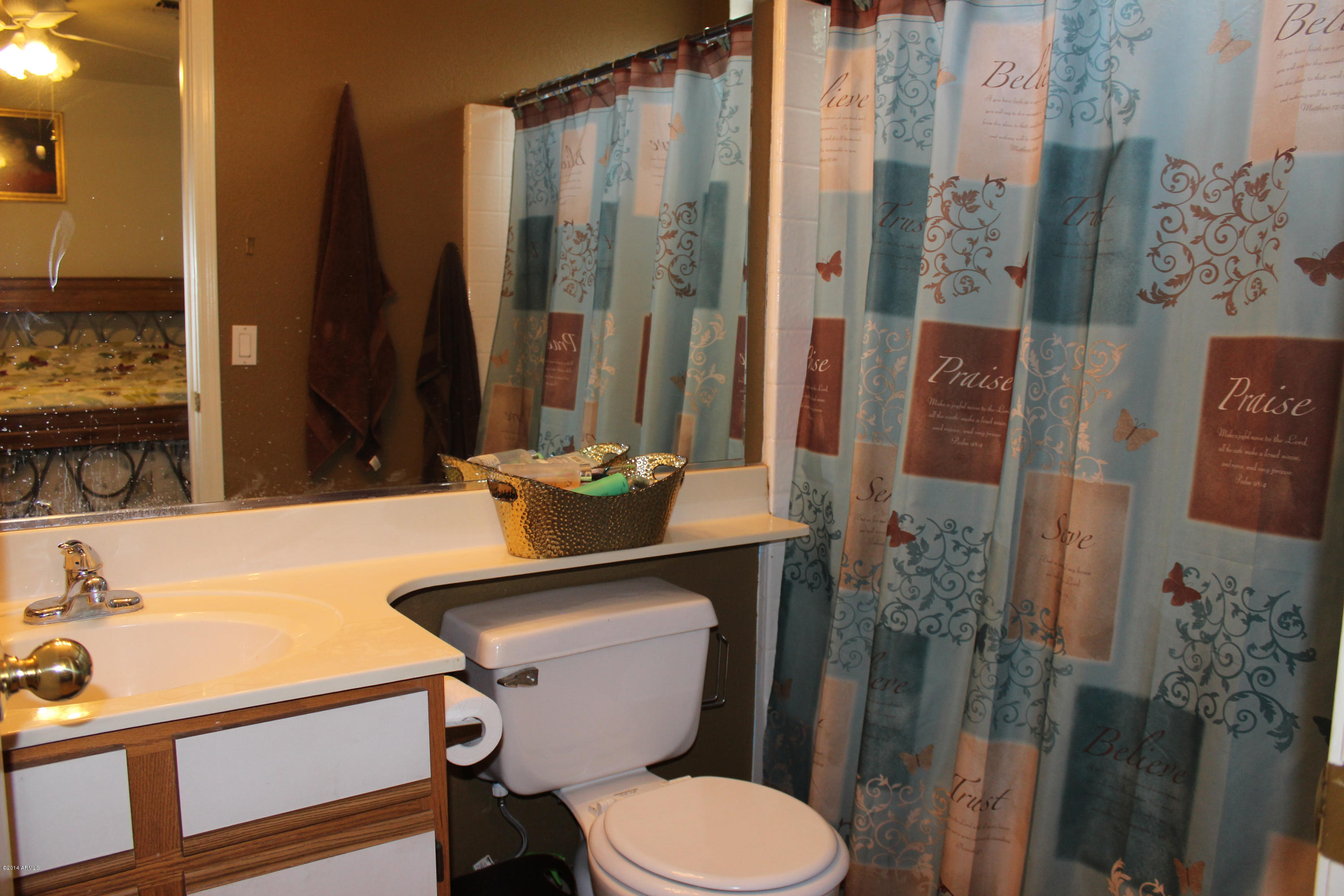 8815 West Monte Vista Road Phoenix, AZ 85037 - Photo 10 of 12 IMG_0082